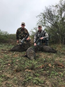 Guided Javelina Hunting Trips & Packages in Texas at Lazy R Hunts